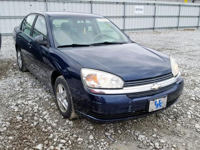 1G1ZT52895F341408 - 2005 CHEVROLET MALIBU LS BLUE photo 1