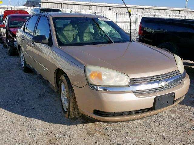 1G1ZT52895F243754 - 2005 CHEVROLET MALIBU LS Алтын фото 1