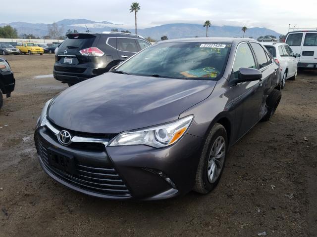 4T4BF1FK9GR581332 - 2016 TOYOTA CAMRY LE  photo 2
