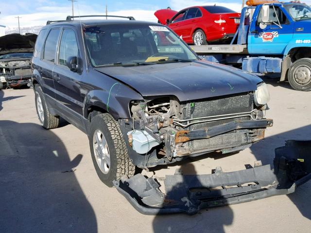 1FMYU93194KA81537 - 2004 FORD ESCAPE XLT GRAY photo 1