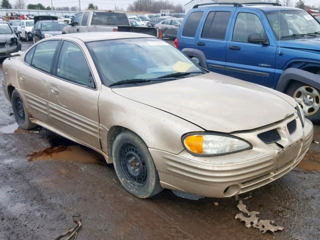 1G2NE52F22C311134 - 2002 PONTIAC GRAND AM S GOLD photo 1