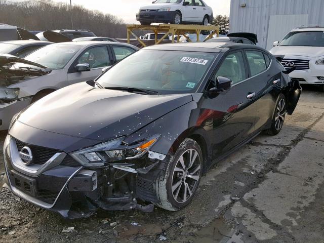 1N4AA6AP4GC901922 - 2016 NISSAN MAXIMA 3.5 BLACK photo 2