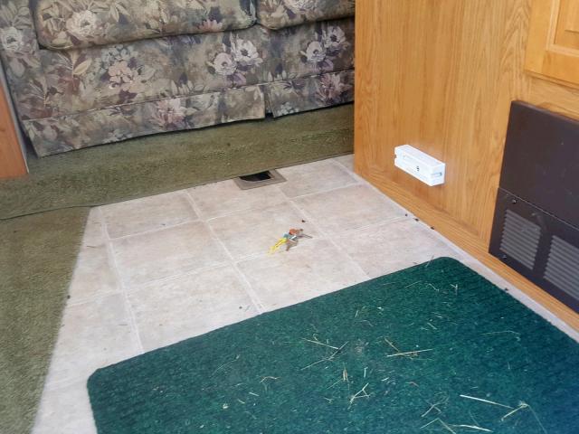 4YDT274624K213621 - 2004 KEYSTONE SPRINTER Ağ foto 7