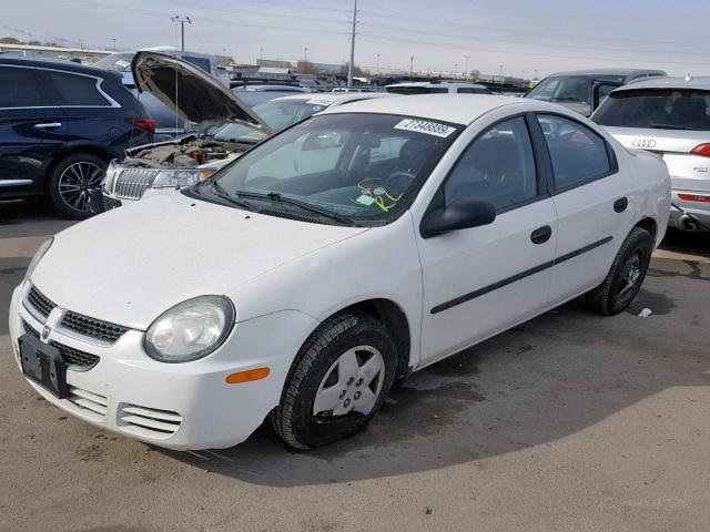 1B3ES26C53D245386 - 2003 DODGE NEON SE WHITE photo 2