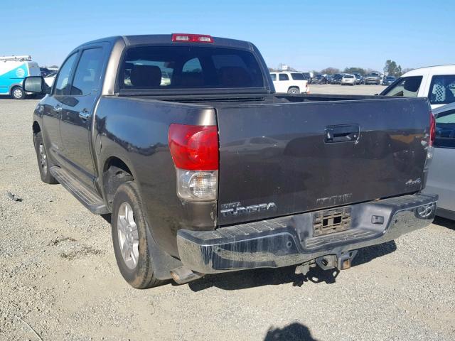 5TBDV58157S461093 - 2007 TOYOTA TUNDRA CRE BROWN photo 3