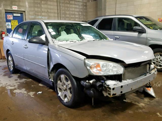 1G1ZT54895F193810 - 2005 CHEVROLET MALIBU LS GRAY photo 1