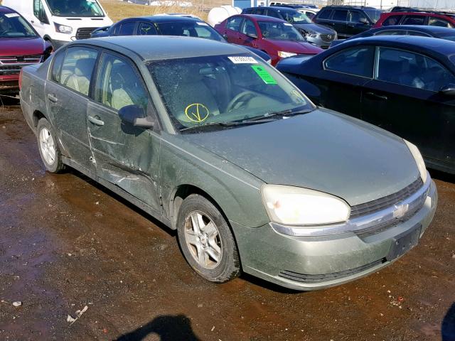 1G1ZT54844F122920 - 2004 CHEVROLET MALIBU LS GREEN photo 1