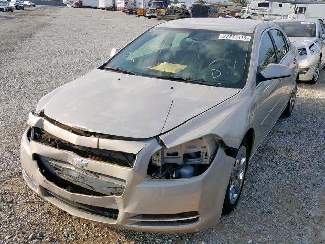 1G1ZC5E0XAF300771 - 2010 CHEVROLET MALIBU 1LT 金色 照片 2