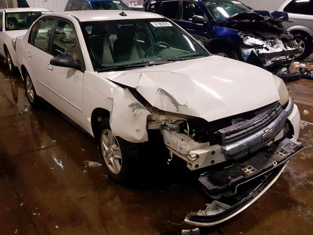 1G1ZT52845F245640 - 2005 CHEVROLET MALIBU LS WHITE photo 1