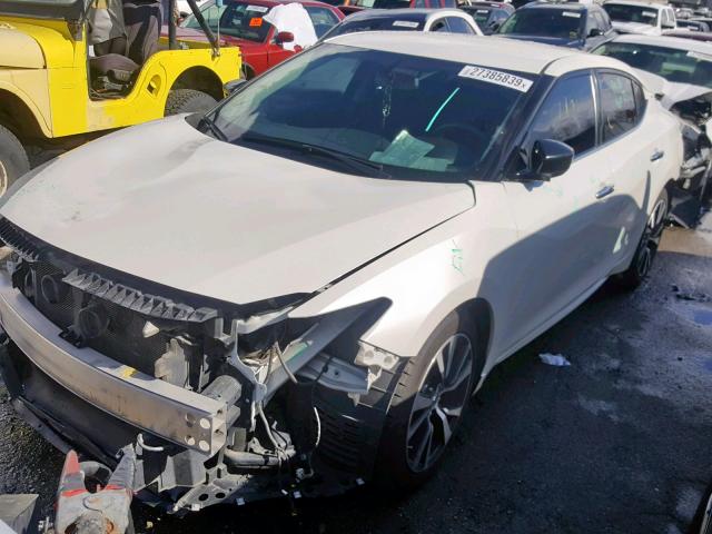 1N4AA6AP7GC429182 - 2016 NISSAN MAXIMA 3.5 WHITE photo 2