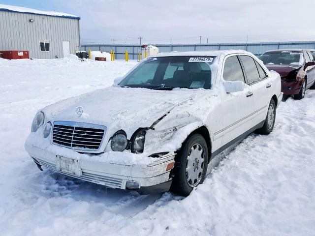 WDBJF25H8XA821265 - 1999 MERCEDES-BENZ E 300TD WHITE photo 2