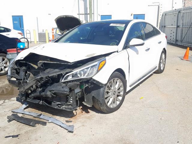 5NPE34AFXFH020341 - 2015 HYUNDAI SONATA SPO WHITE photo 2