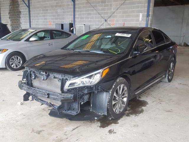 5NPE34AF8GH354840 - 2016 HYUNDAI SONATA SPORT  photo 2