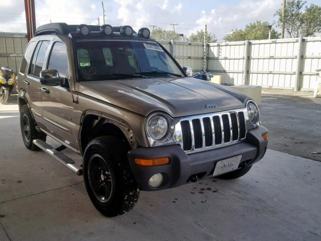 1J4GK38K03W710544 - 2003 JEEP LIBERTY RE GOLD photo 1