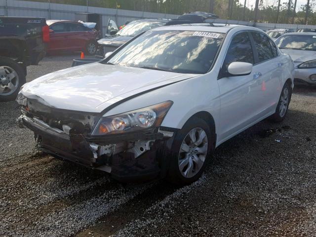 1HGCP36868A068849 - 2008 HONDA ACCORD EXL WHITE photo 2