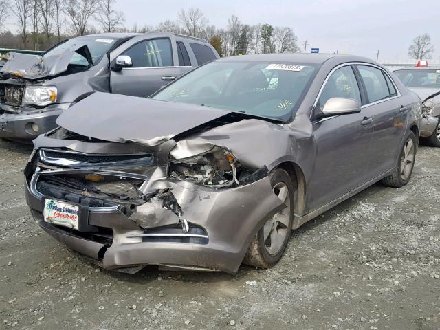 1G1ZC5E10BF303009 - 2011 CHEVROLET MALIBU 1LT 米色 照片 2