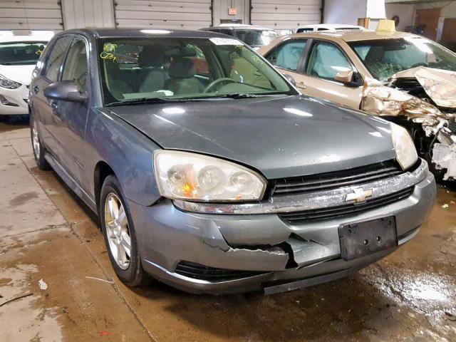 1G1ZT62895F288456 - 2005 CHEVROLET MALIBU MAX GRAY photo 1