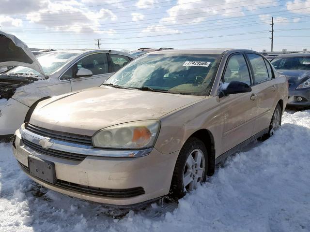 1G1ZT54874F179886 - 2004 CHEVROLET MALIBU LS 金色 照片 2