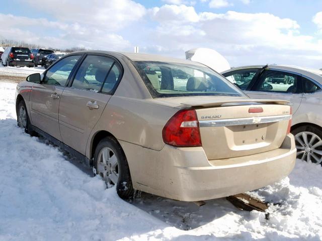 1G1ZT54874F179886 - 2004 CHEVROLET MALIBU LS 金色 照片 3