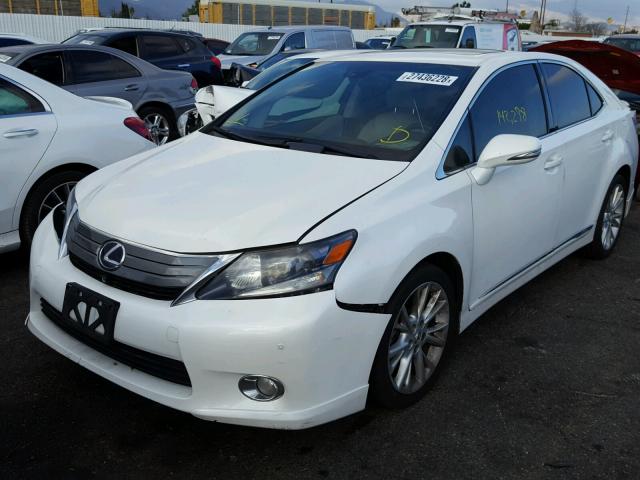 JTHBB1BA2B2044313 - 2011 LEXUS HS 250H WHITE photo 2