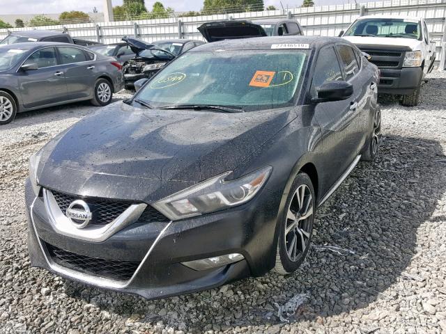 1N4AA6AP0GC429945 - 2016 NISSAN MAXIMA 3.5 BLACK photo 2