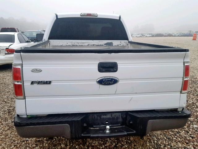 1FTMF1CW9AKA90776 - 2010 FORD F150 WHITE photo 6