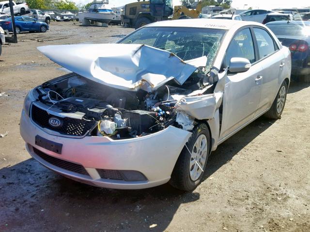 KNAFU4A25A5810313 - 2010 KIA FORTE EX SILVER photo 2