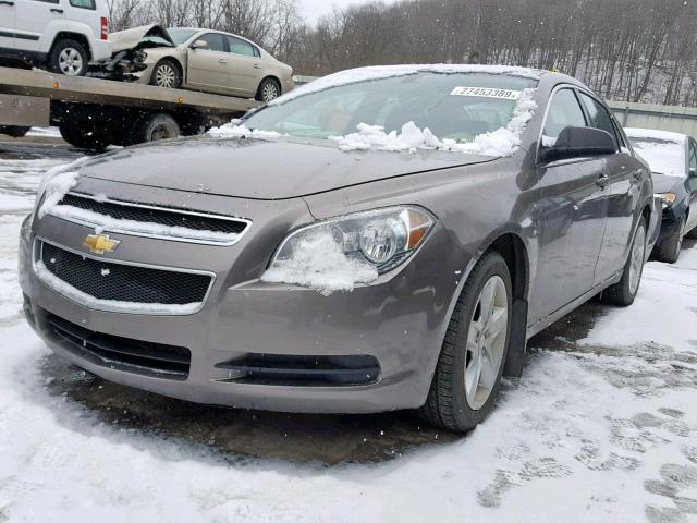1G1ZB5EB1AF297764 - 2010 CHEVROLET MALIBU LS ყავისფერი ფოტო 2