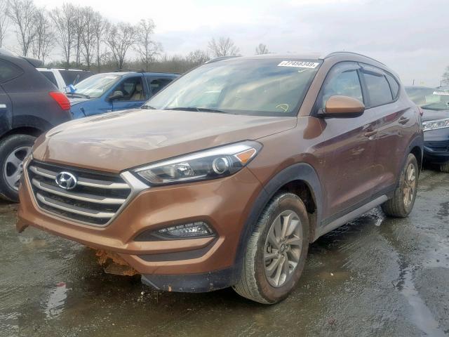 KM8J3CA4XHU396646 - 2017 HYUNDAI TUCSON LIM GOLD photo 2