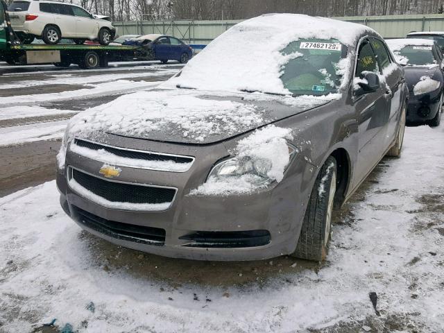1G1ZB5EB3AF102179 - 2010 CHEVROLET MALIBU LS TAN photo 2