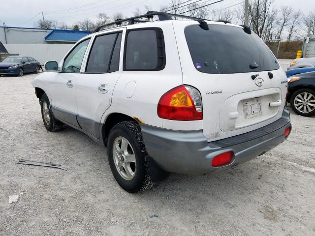 KM8SC13D53U398951 - 2003 HYUNDAI SANTA FE GLS  photo 3