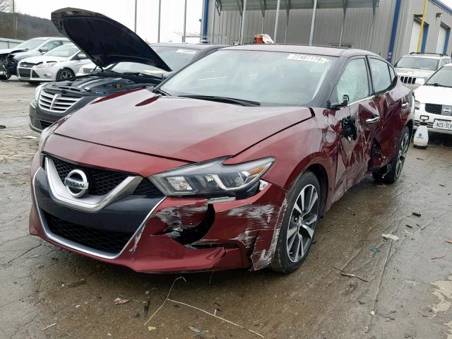 1N4AA6AP3HC385182 - 2017 NISSAN MAXIMA 3.5 MAROON photo 2