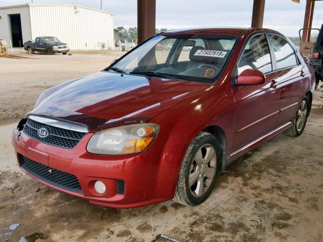 KNAFE221195023524 - 2009 KIA SPECTRA EX MAROON photo 2