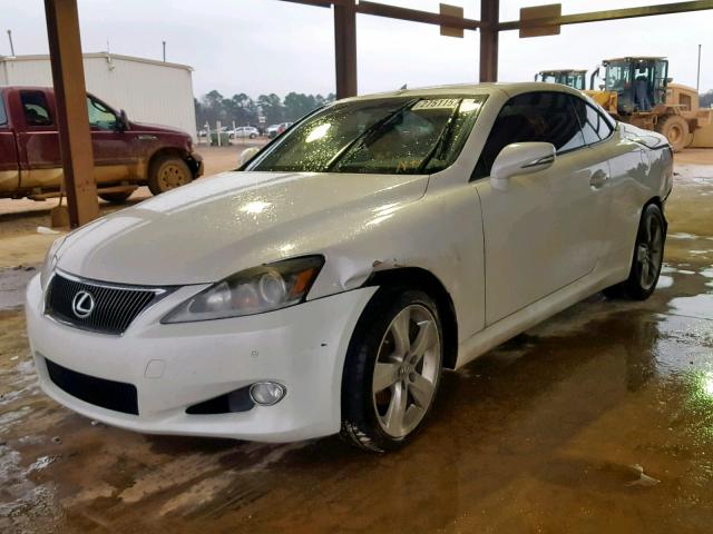 JTHFF2C24B2518023 - 2011 LEXUS IS 250 WHITE photo 2