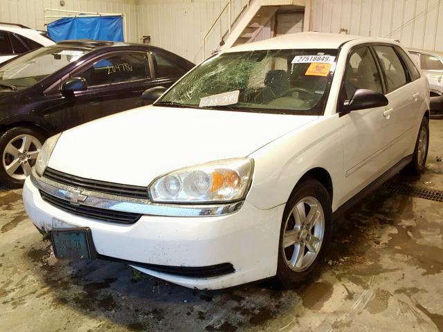 1G1ZT62875F325021 - 2005 CHEVROLET MALIBU MAX 白色 照片 2
