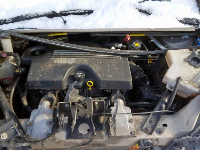 1GNDV33137D121866 - 2007 CHEVROLET UPLANDER L Krem foto 7