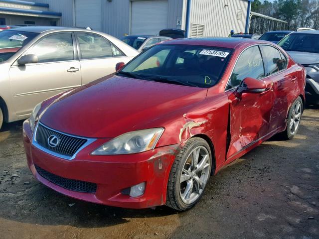 JTHBF5C25A5126584 - 2010 LEXUS IS 250 RED photo 2