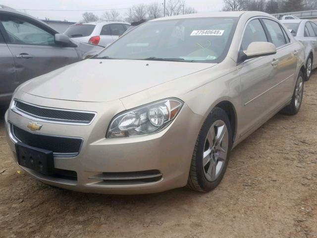 1G1ZC5EB2AF120024 - 2010 CHEVROLET MALIBU 1LT GOLD photo 2
