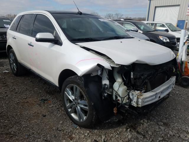 2FMDK3JC1BBB46555 - 2011 FORD EDGE SEL  photo 1