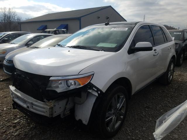 2FMDK3JC1BBB46555 - 2011 FORD EDGE SEL  photo 2