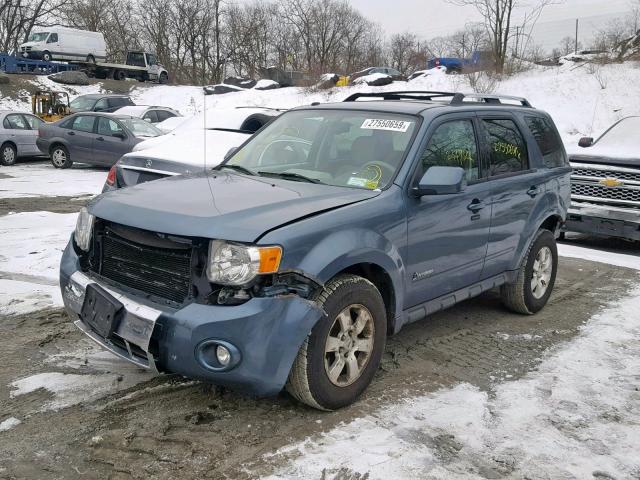 1FMCU5K32AKA73300 - 2010 FORD ESCAPE HYB BLUE photo 2