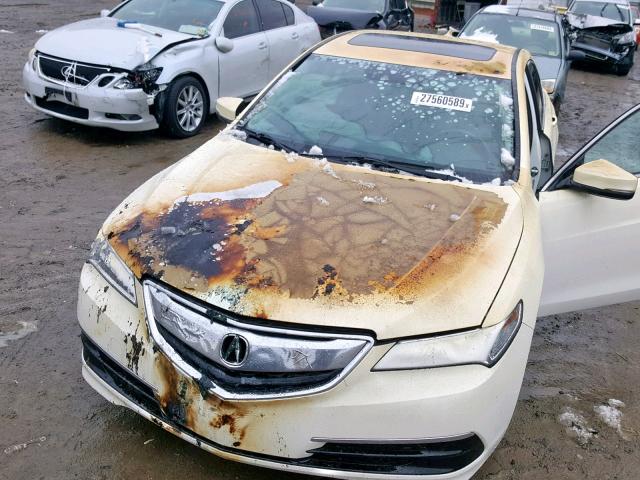 19UUB2F52GA005457 - 2016 ACURA TLX TECH თეთრი ფოტო 9