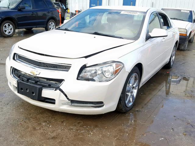 1G1ZC5E13BF332066 - 2011 CHEVROLET MALIBU 1LT CREAM photo 2