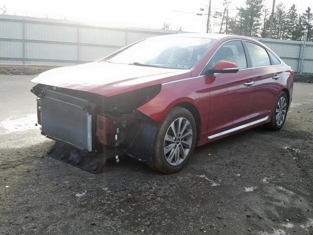 5NPE34AF3FH055528 - 2015 HYUNDAI SONATA SPO RED photo 2