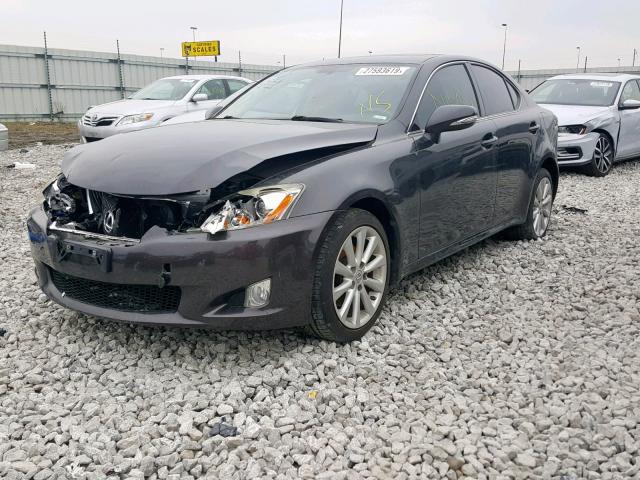 JTHCK262892029838 - 2009 LEXUS IS 250 CHARCOAL photo 2