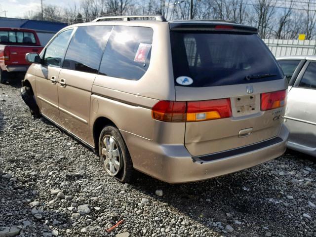 5FNRL18652B001968 - 2002 HONDA ODYSSEY EX GOLD photo 3