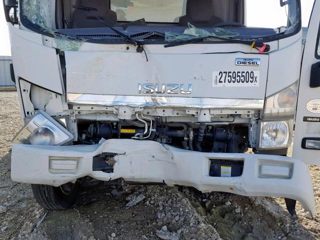 JALE5W164F7902629 - 2015 ISUZU NQR WHITE photo 7