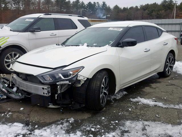 1N4AA6AP0HC384538 - 2017 NISSAN MAXIMA 3.5 WHITE photo 2