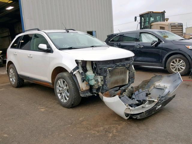 2FMDK3JCXDBC81309 - 2013 FORD EDGE SEL WHITE photo 1