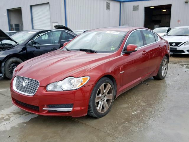 SAJWA05B29HR09049 - 2009 JAGUAR XF LUXURY RED photo 2